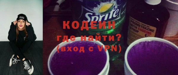 ГАЛЛЮЦИНОГЕННЫЕ ГРИБЫ Гусь-Хрустальный