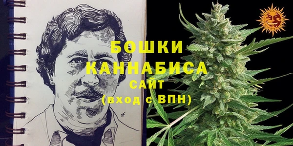 молекула духа Гусев