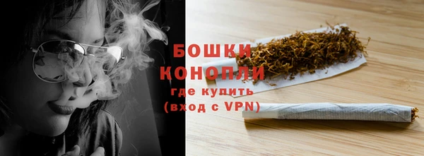 молекула духа Гусев