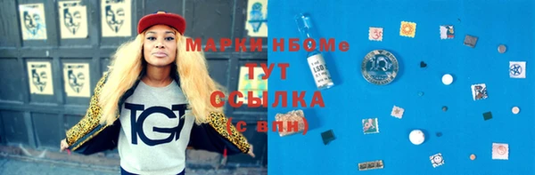 ГАЛЛЮЦИНОГЕННЫЕ ГРИБЫ Гусь-Хрустальный