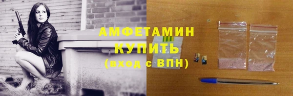 ГАЛЛЮЦИНОГЕННЫЕ ГРИБЫ Гусь-Хрустальный