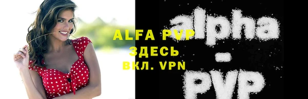 молекула духа Гусев