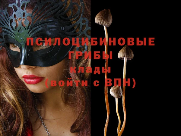 ГАЛЛЮЦИНОГЕННЫЕ ГРИБЫ Гусь-Хрустальный