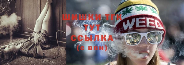 молекула духа Гусев