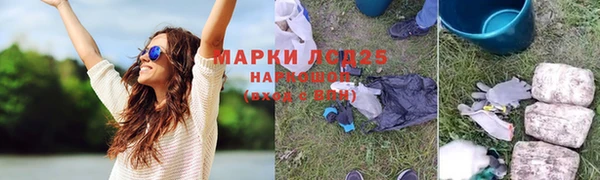 молекула духа Гусев